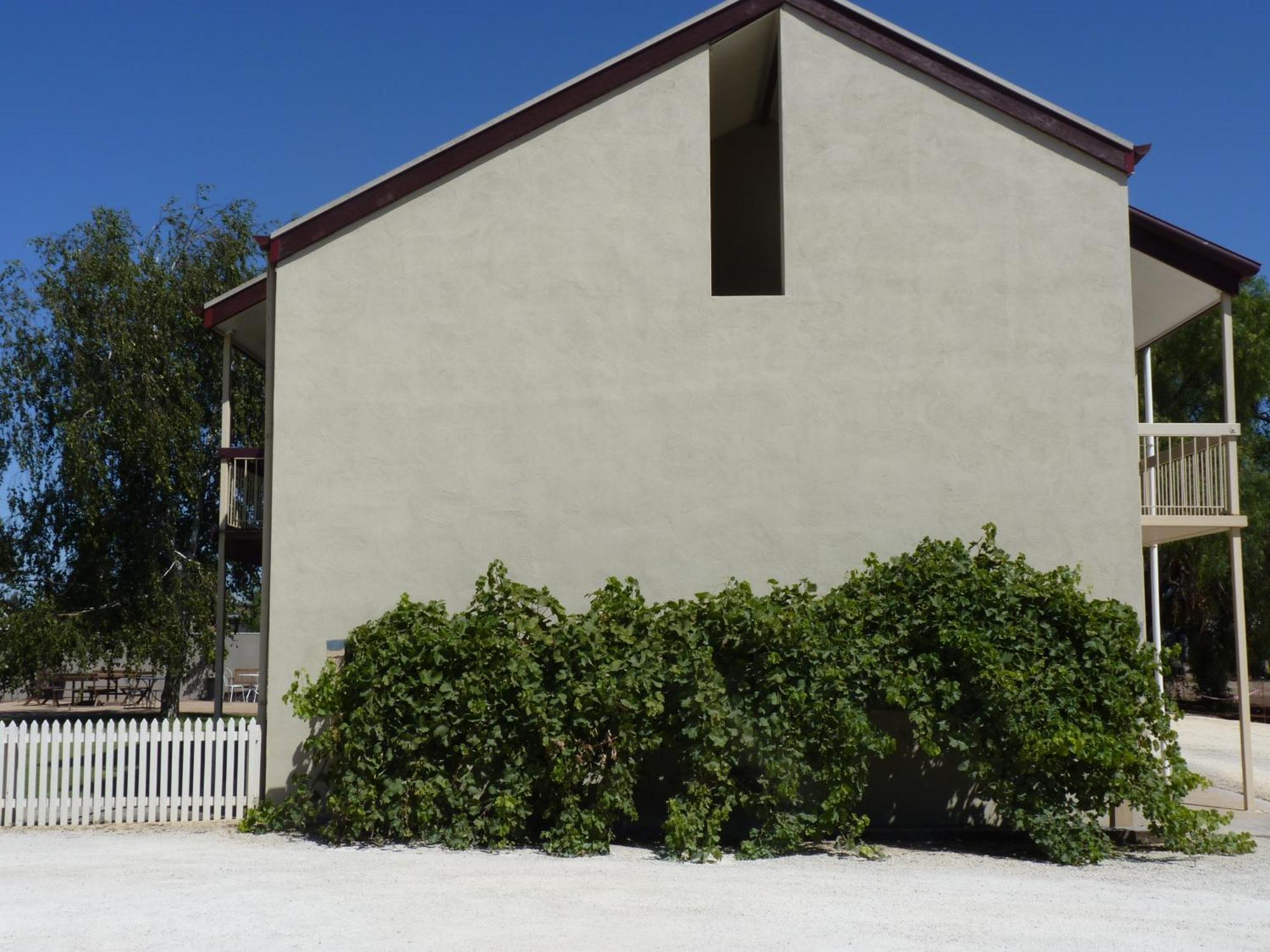 Coonawarra Motor Lodge Пенола Екстериор снимка