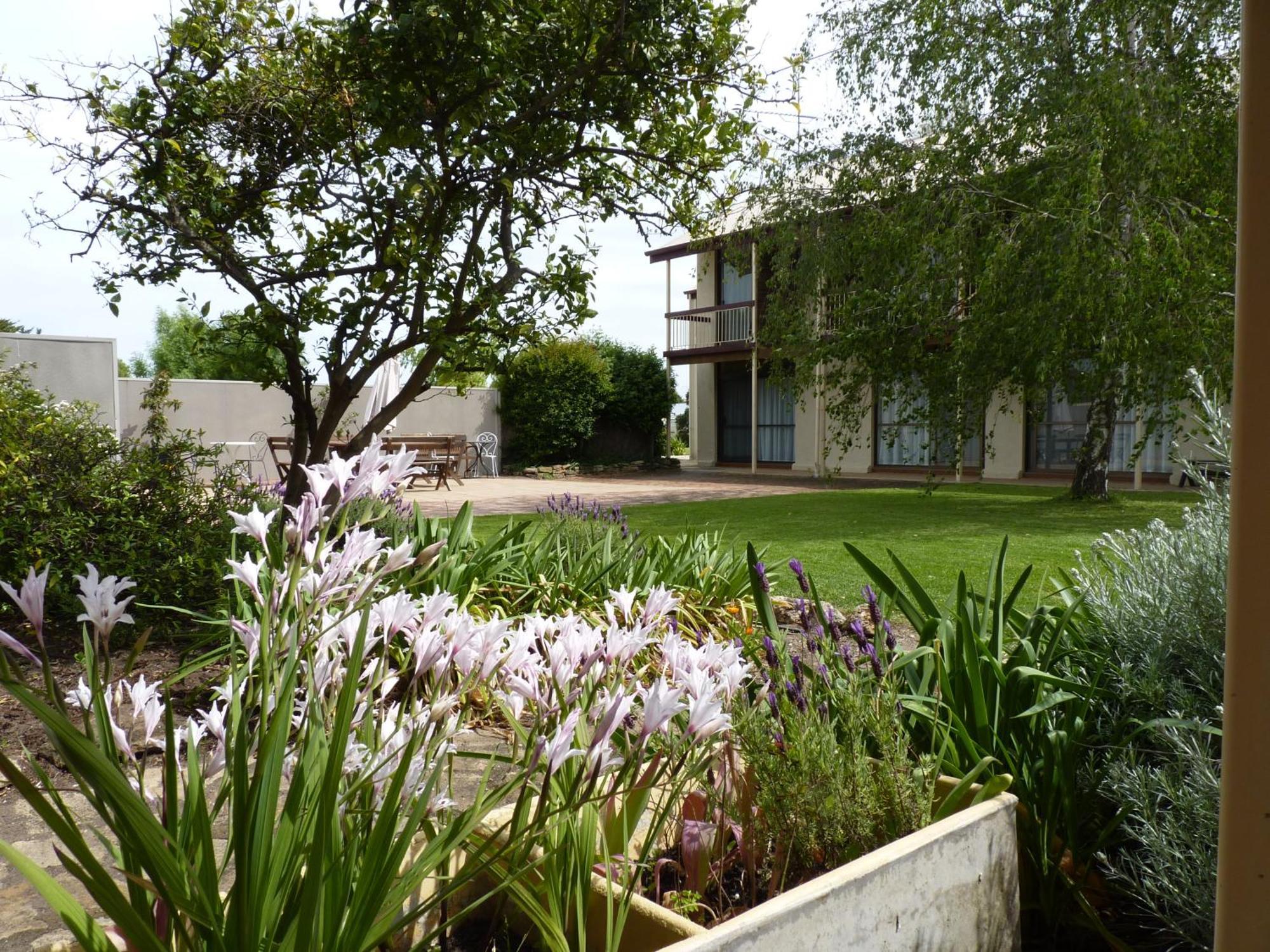 Coonawarra Motor Lodge Пенола Екстериор снимка